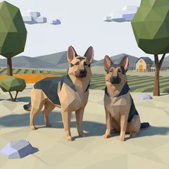 German Shepherd